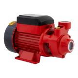 Pompa periferica, QB60 - detaliu