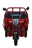 Triciclu electric cargo BLADE SPRINT 3.0, 2000W, Roșu+Negru - detaliu