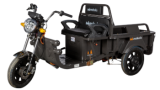 Triciclu Electric Cargo Praslea TRCC800, 800W, 60V/20Ah - detaliu